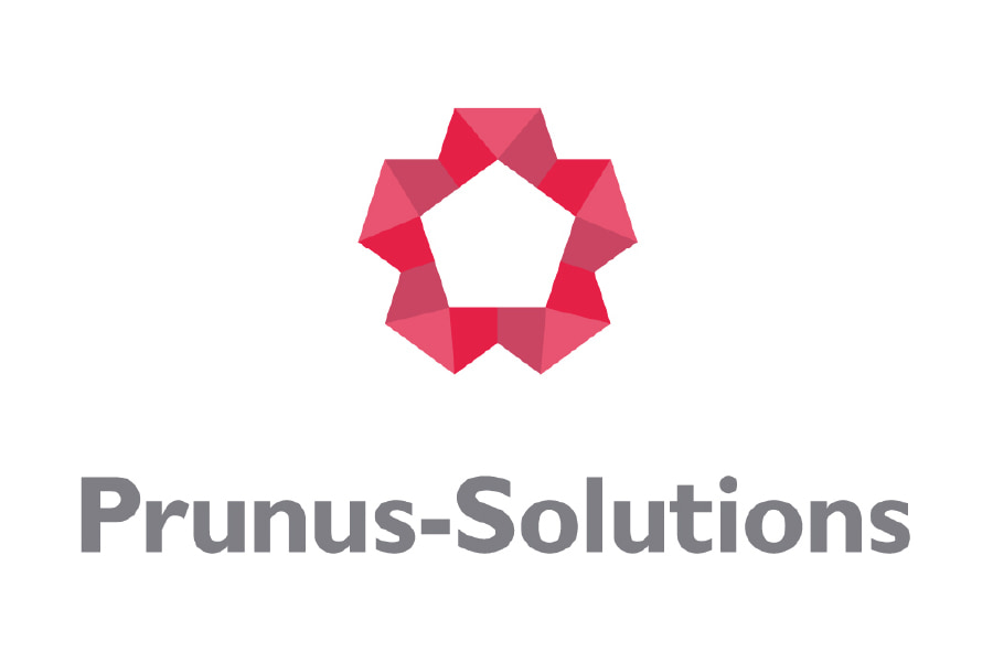 prubus solutions